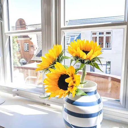 Altes Kapitänshaus - Strandglück * Wyk auf Föhr